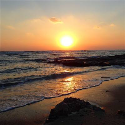 中欧·体育(KOK)中国官方网站app下载截图