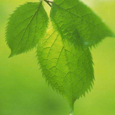 星空体育app下载手机app下载