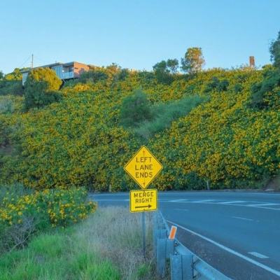 澳门威斯尼斯WNS888入口app下载