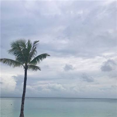 爱游戏平台下载手机版截图