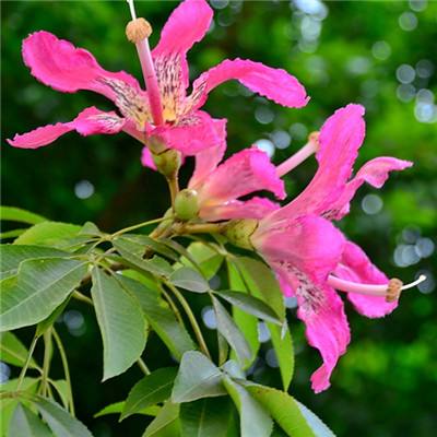 乐鱼游戏app在线登录手机app下载截图