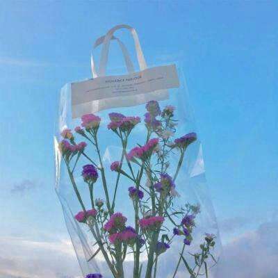 开云(中国)Kaiyun