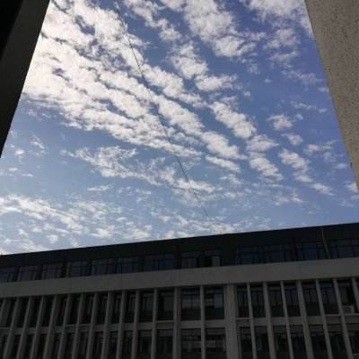 天天中彩票app下载